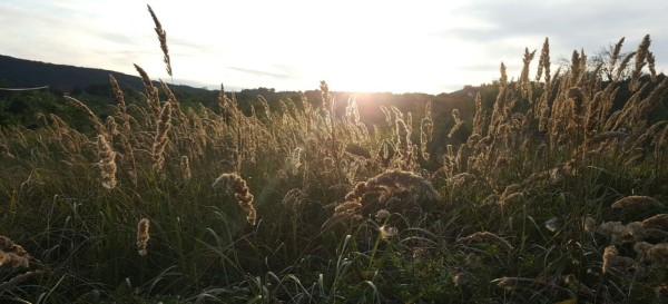 Sonnenuntergang