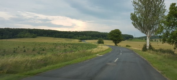 Weg im grünen Felder