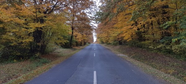 Herbstfarben um die Strasse