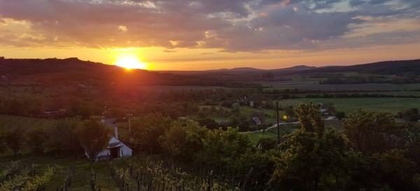Sonnenuntergang im Tal von Pécsely