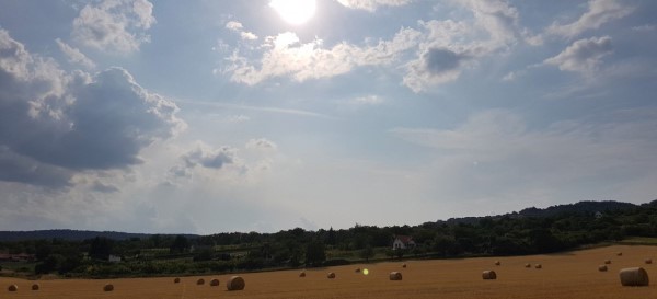 Goldene Felder mit Strohballen in der Sonne