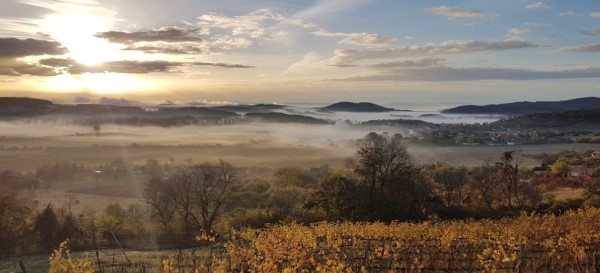 Sonnenuntergang mit Nebel im Tal von Pécsely