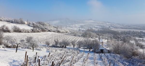 Beschneite Wintergegend rund ums Weinberg