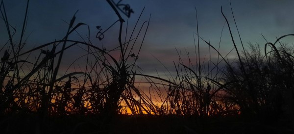 Sonnenuntergang in den Feldern