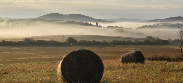 Hay bale, fog, church, sunrise