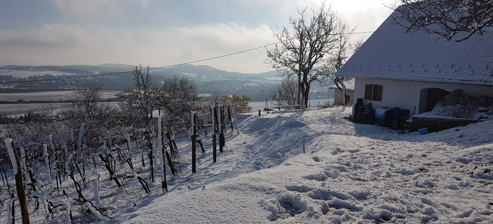 Kelterhaus mit Panorama im Winter