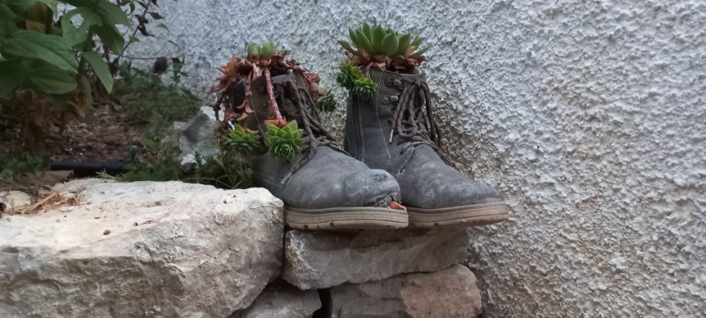 Alte, getragene Schuhe als Dekoration