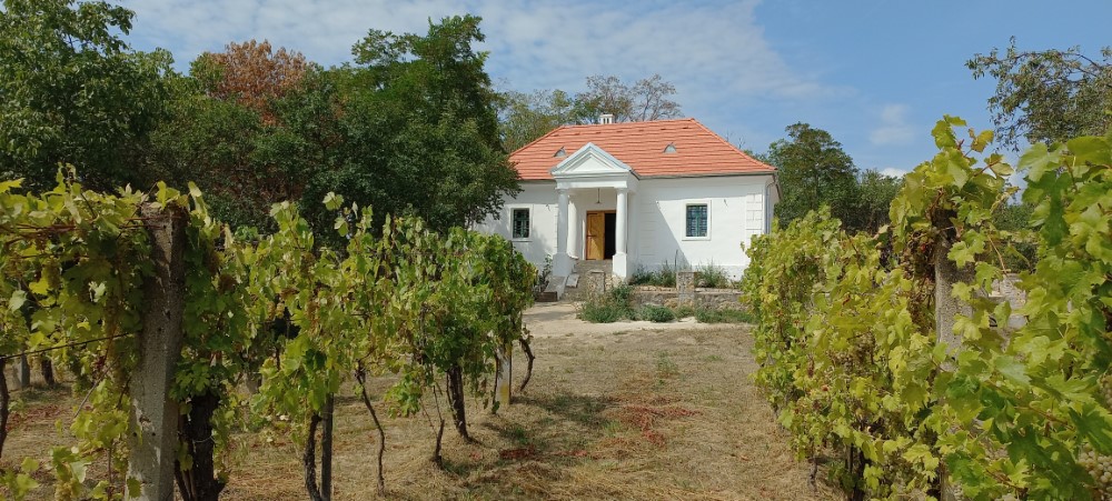 Kelterhaus und Weingebiet