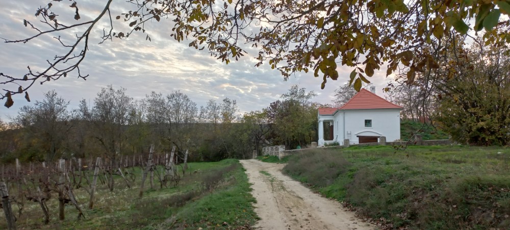 Unbefestigte Strasse zu dem Haus